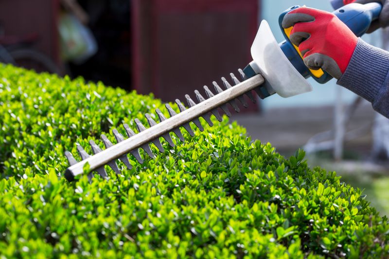 Hedge Installation in Ventura County, CA